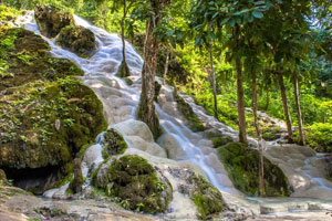 Bua Tong Waterfall