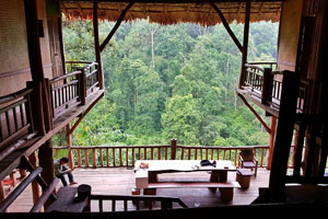 บ้านแม่แมะ บ้านแม่แมะ