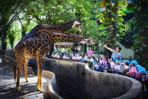 สวนสัตว์เชียงใหม่ สวนสัตว์เชียงใหม่
