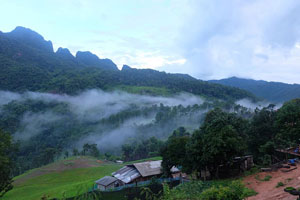 บ้านนาเลาใหม่ บ้านนาเลาใหม่