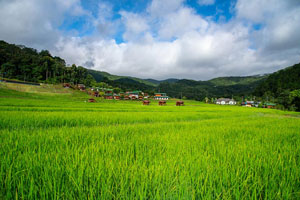 Ban Mae Klang Luang