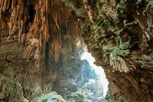 Lam Khlong Ngu National Park