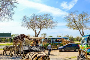 Kanchanaburi Safari Park