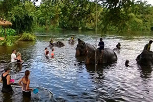 ศูนย์อนุรักษ์ช้างกาญจนบุรี