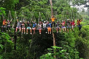 Tree Top Adventure Park