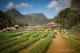 Khang Royal Agricultural Station of origin of the anecdotes