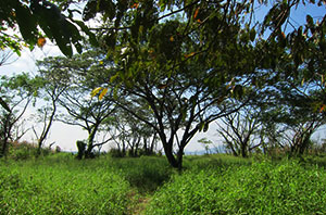 Sam Ten Reservoir