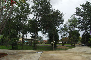 วัดหนองเตียน