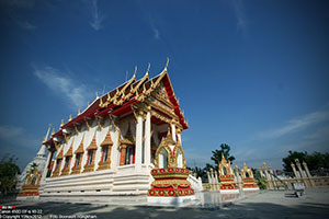 วัดปทีปพลีผล