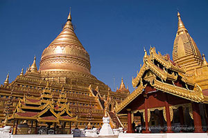 วัดสุธรรมวดี วัดสุธรรมวดี