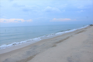 หาดปากดวด