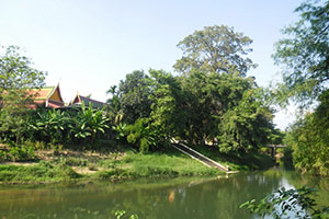 วัดไม้รวกสุขาราม วัดไม้รวกสุขาราม