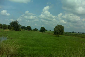 Wat Nong Pradu Wat Nong Pradu