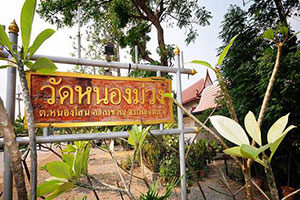 วัดหนองม่วง