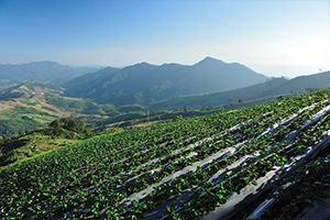 Nan Province Nan Province