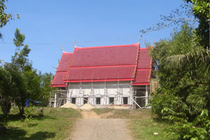 วัดบ้านใหม่พัฒนา วัดบ้านใหม่พัฒนา