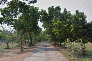 วัดหนองปลาไหล