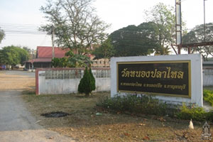 วัดหนองปลาไหล (หนองปลาไหล) วัดหนองปลาไหล (หนองปลาไหล)