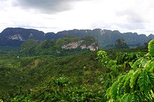 Doi Tapang