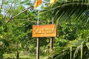 วัดเสนานนท์