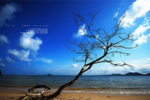 เกาะจำ