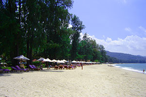 หาดบางเทา