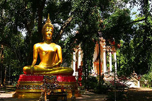 วัดหนองโรง วัดหนองโรง