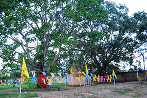 วัดหุบกะพง
