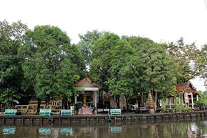วัดเกาะ วัดเกาะ