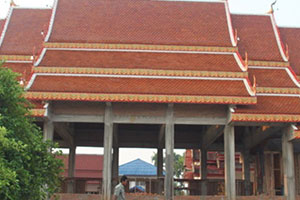 วัดนาหนุน (แสนทอง)