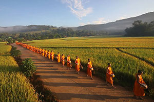 วัดป่าตึง (สันต้นหมื้อ) วัดป่าตึง (สันต้นหมื้อ)