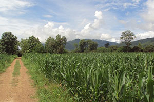 Wat Ban Kad