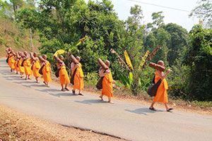 Wat Tha Pha Wat Tha Pha