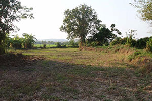 Wat Nam Phrae Wat Nam Phrae