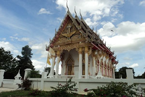 วัดหนองไผ่ วัดหนองไผ่