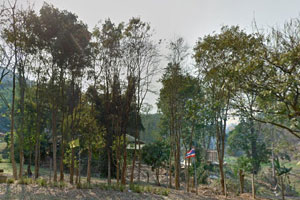 Wat Pheri Phi Chai Wat Pheri Phi Chai