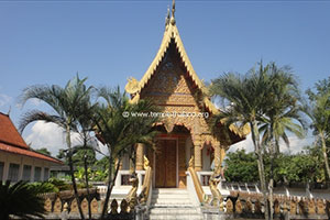 วัดสันต้นเปา (แม่ข่า)