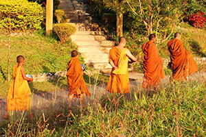 Wat Muang Rae