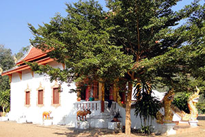Wat Kong Khak Luang