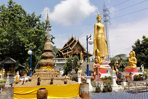 วัดป่างิ้ว (ท่าวังตาล) วัดป่างิ้ว (ท่าวังตาล)
