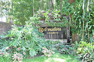 Wat Tham Doi Ton Wat Tham Doi Ton