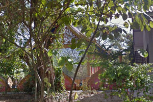 Wat Nong Aor