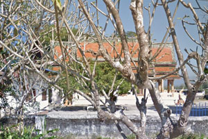 Wat Phrathat Klang Chai Muang