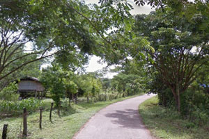 วัดแม่ปง