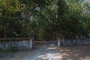Wat Pracha Nimit Wat Pracha Nimit