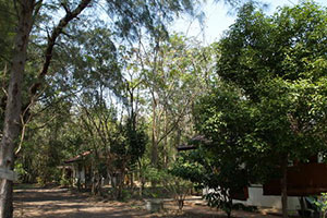 วัดหนองม่วง