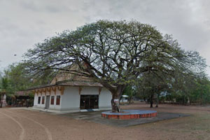 Wat Nong Na Toeng Wat Nong Na Toeng