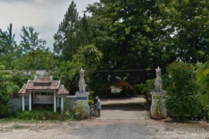 วัดสันต้นม่วง