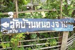 วัดหนองจาน (โคกสะอาด) วัดหนองจาน (โคกสะอาด)