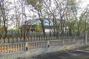 วัดป่าบ้านพลัง